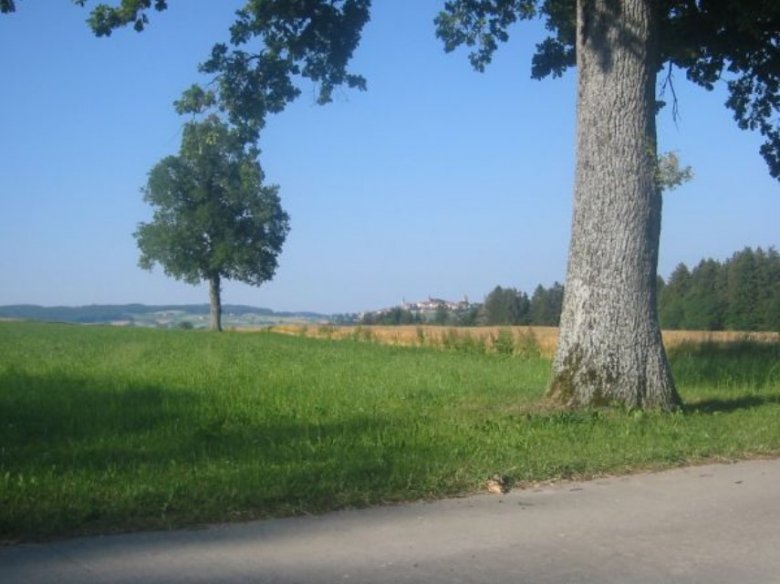 Vue sur Romont depuis les hauts d'Hennens